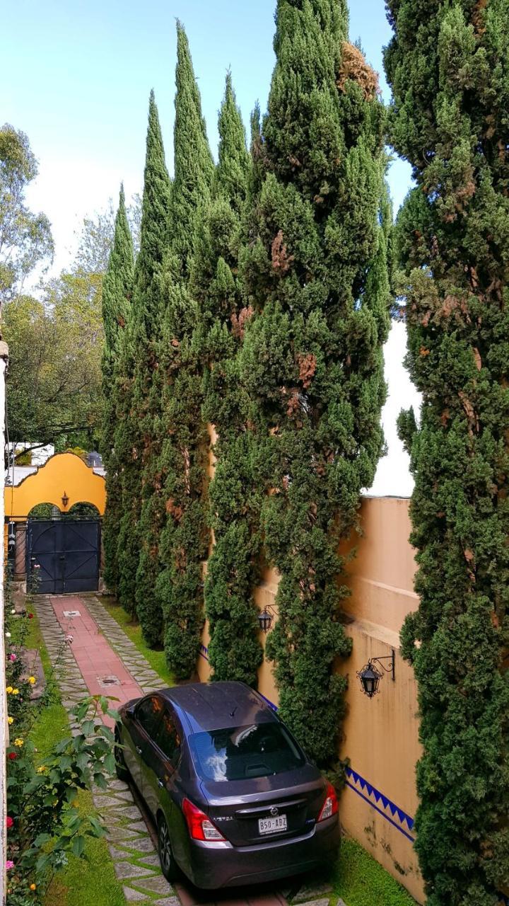 Villa Alfonsina Ciudad de México Exterior foto
